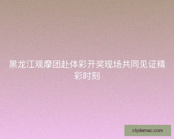 黑龙江观摩团赴体彩开奖现场共同见证精彩时刻
