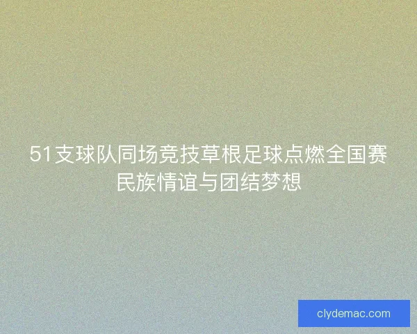 51支球队同场竞技草根足球点燃全国赛民族情谊与团结梦想