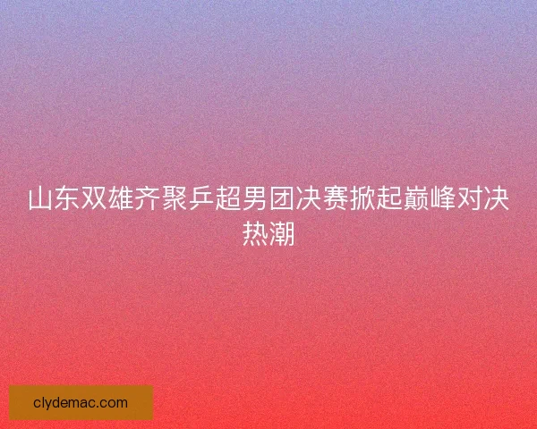 山东双雄齐聚乒超男团决赛掀起巅峰对决热潮